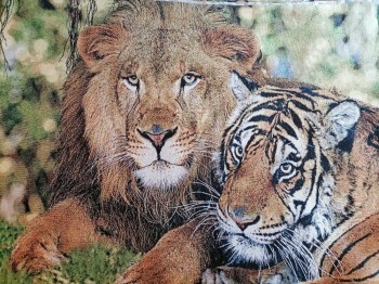 лев и тигр ― ИГРУШКИ И СУВЕНИРЫ ОПТОМ В НОВОСИБИРСКЕ