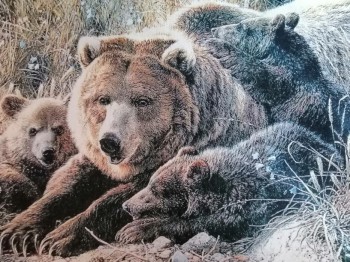 медведи ― ИГРУШКИ И СУВЕНИРЫ ОПТОМ В НОВОСИБИРСКЕ