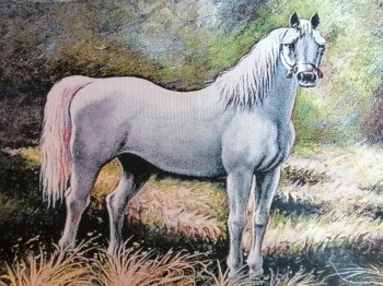 конь белый стоит ― ИГРУШКИ И СУВЕНИРЫ ОПТОМ В НОВОСИБИРСКЕ