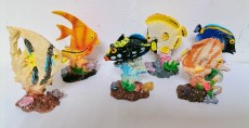 рыбки на кораллах